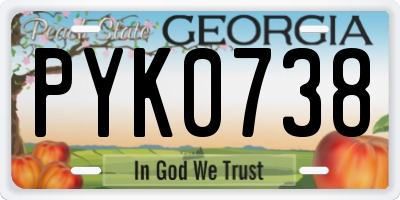 GA license plate PYK0738