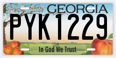 GA license plate PYK1229