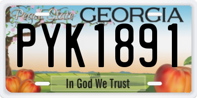 GA license plate PYK1891
