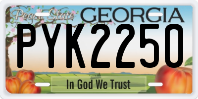 GA license plate PYK2250