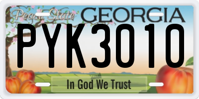 GA license plate PYK3010