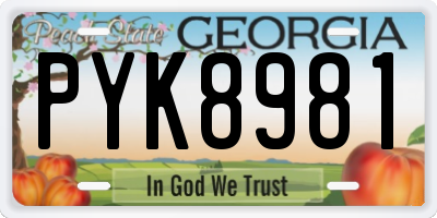 GA license plate PYK8981