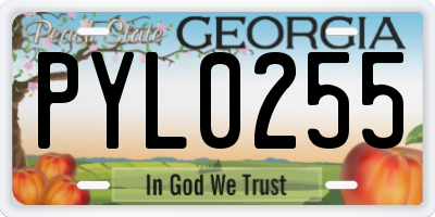 GA license plate PYL0255
