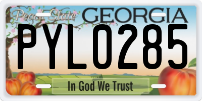 GA license plate PYL0285