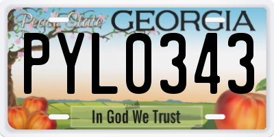 GA license plate PYL0343