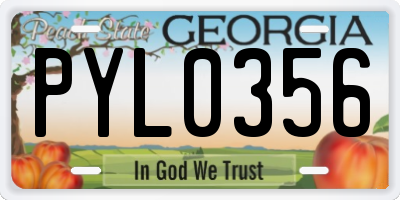 GA license plate PYL0356
