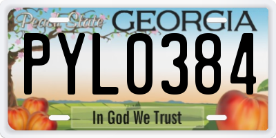 GA license plate PYL0384
