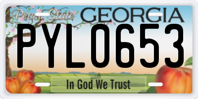 GA license plate PYL0653