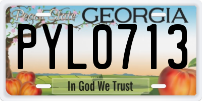 GA license plate PYL0713