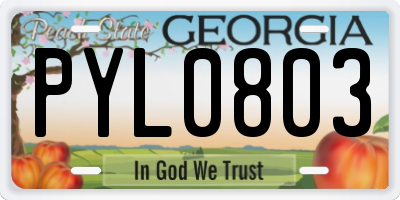 GA license plate PYL0803