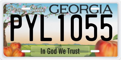 GA license plate PYL1055