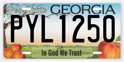 GA license plate PYL1250