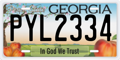 GA license plate PYL2334