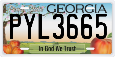 GA license plate PYL3665