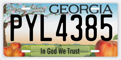 GA license plate PYL4385