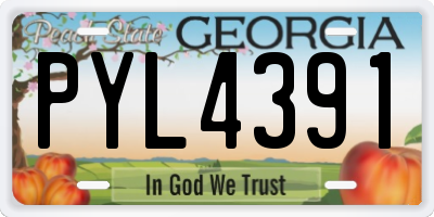GA license plate PYL4391