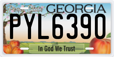 GA license plate PYL6390