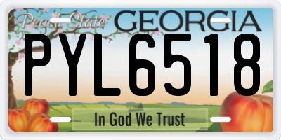 GA license plate PYL6518