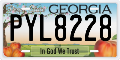 GA license plate PYL8228