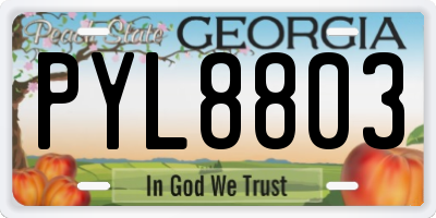 GA license plate PYL8803