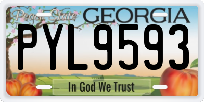GA license plate PYL9593