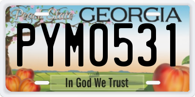 GA license plate PYM0531