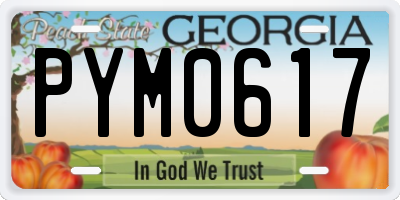 GA license plate PYM0617