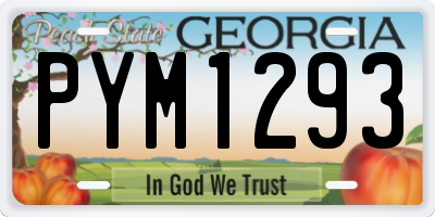 GA license plate PYM1293