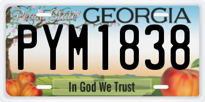 GA license plate PYM1838