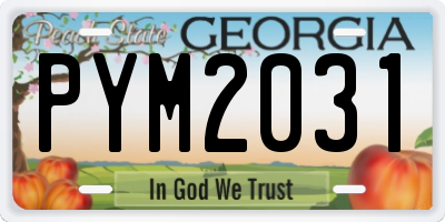 GA license plate PYM2031