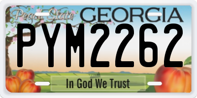 GA license plate PYM2262