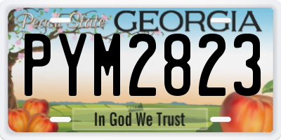 GA license plate PYM2823