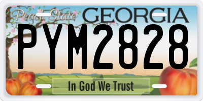 GA license plate PYM2828