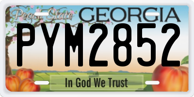 GA license plate PYM2852