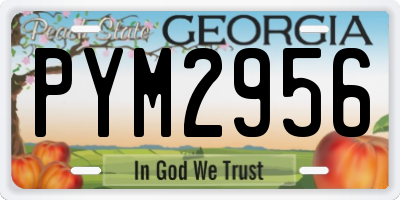 GA license plate PYM2956