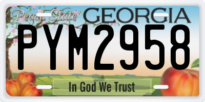 GA license plate PYM2958