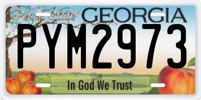 GA license plate PYM2973