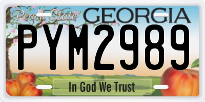 GA license plate PYM2989