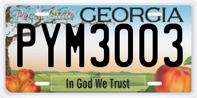 GA license plate PYM3003