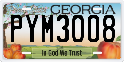 GA license plate PYM3008