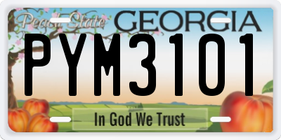 GA license plate PYM3101