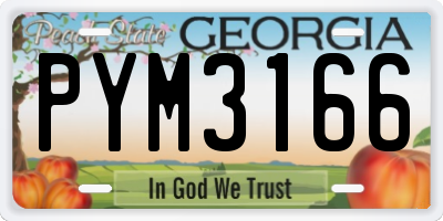 GA license plate PYM3166