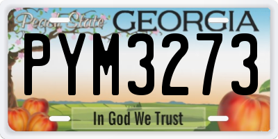 GA license plate PYM3273