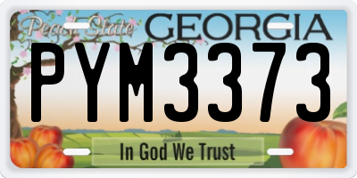GA license plate PYM3373