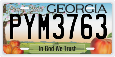 GA license plate PYM3763