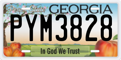 GA license plate PYM3828