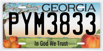GA license plate PYM3833