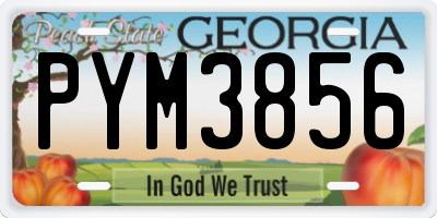 GA license plate PYM3856