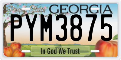 GA license plate PYM3875