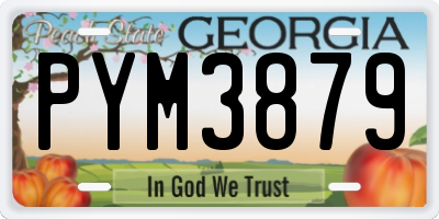 GA license plate PYM3879